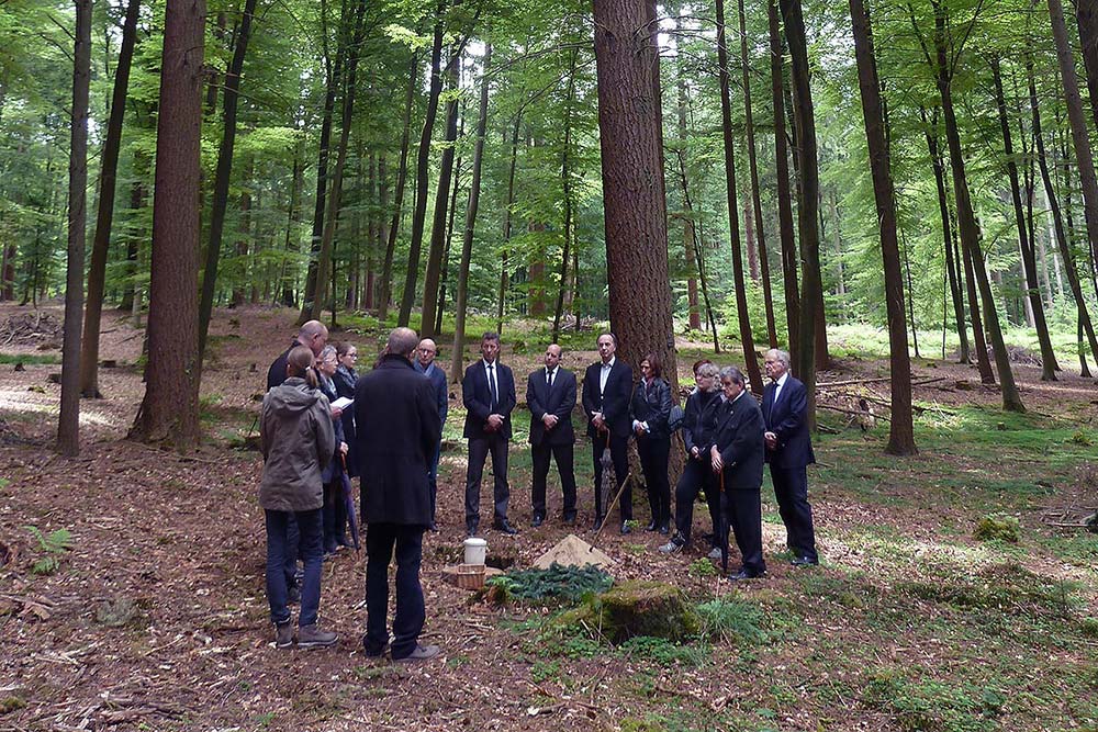 Abschied - Ort Friedwald